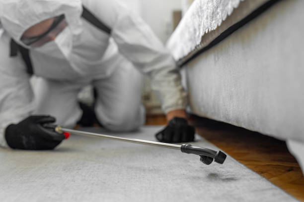 Professional Termite Control technician working in Chalfant, CA