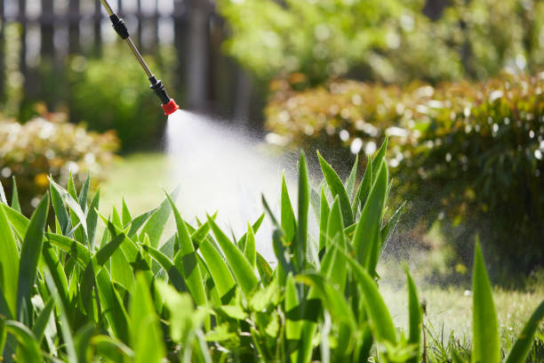 24/7 Emergency Termite Control experts in Chalfant, CA