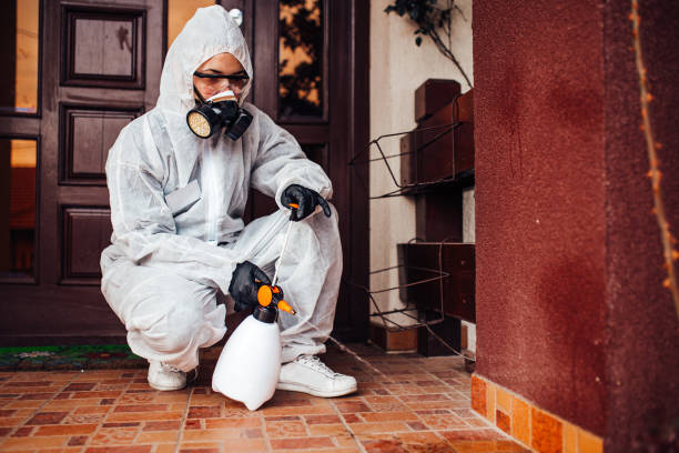 Reliable Termite Control contractor in Chalfant, CA by Nex Pest Control
